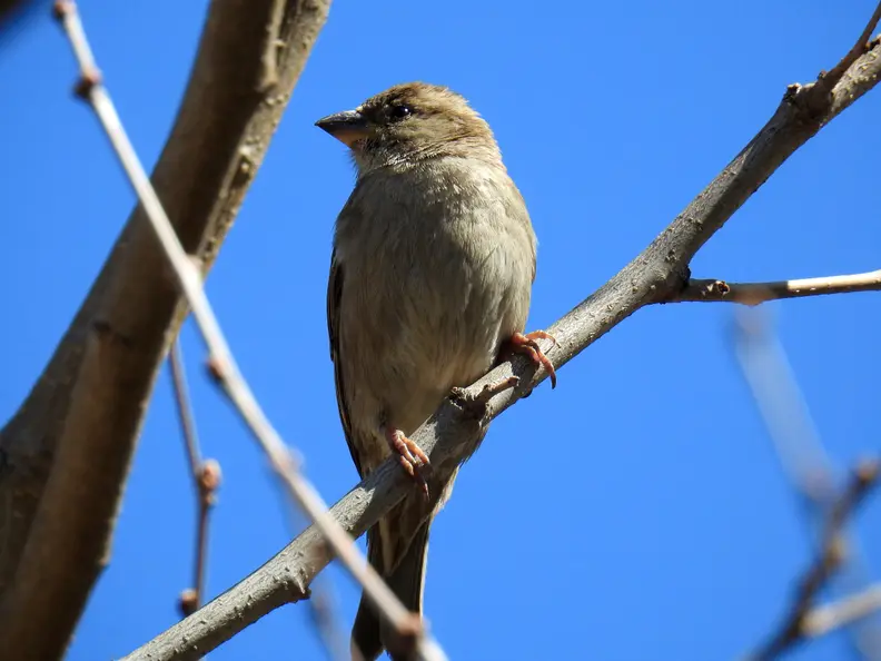 EXIF: 1400mm, 1/500, f/ 6.3, ISO 140