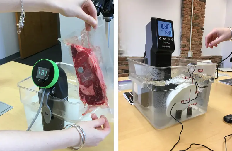 Testing the Nomiku and Polysci immersion circulators