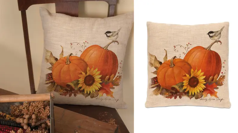 Pumpkin pillow