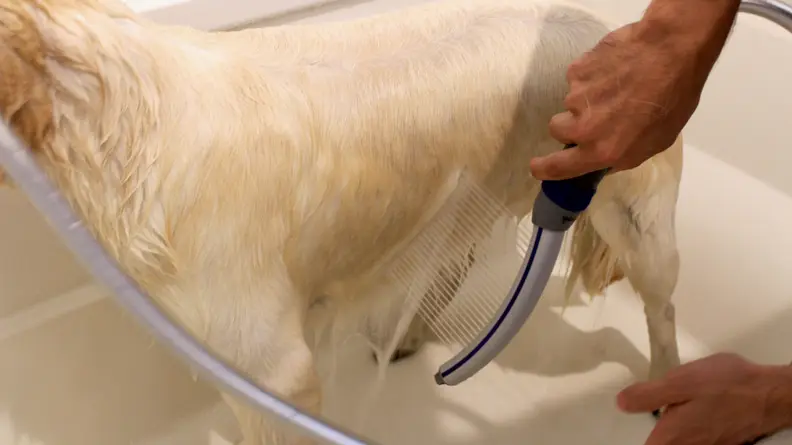 The shower attachment made washing Addy's stomach so much easier.
