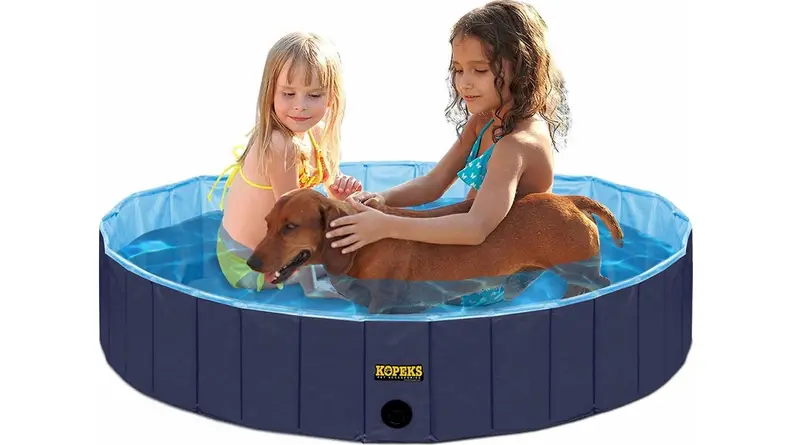 Two young girls sit in a miniature dark blue swimming pool with a reddish brown dog