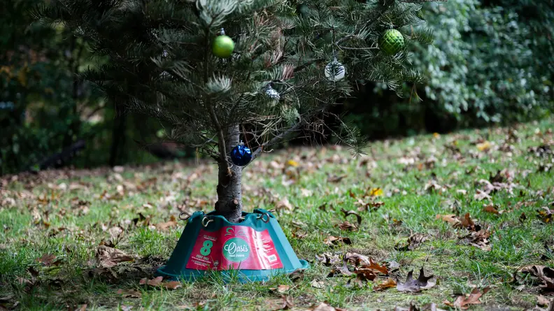 The bottom of a Christmas tree in a green Christmas tree stand