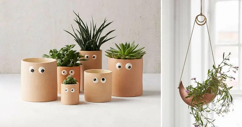planters