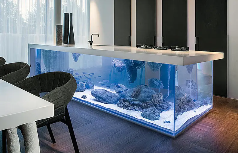 The fully functional freshwater aquarium uses mirrors to appear even larger.