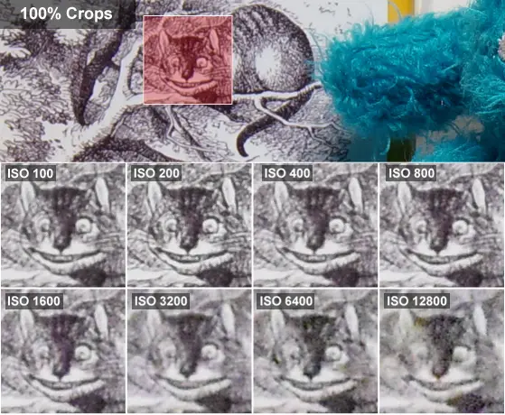 100% crops of a sample photo taken by the Nikon 1 J4.