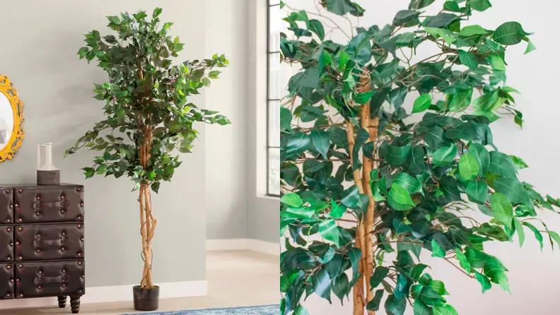 You can rearrange this tree's leaves to your hearts content.