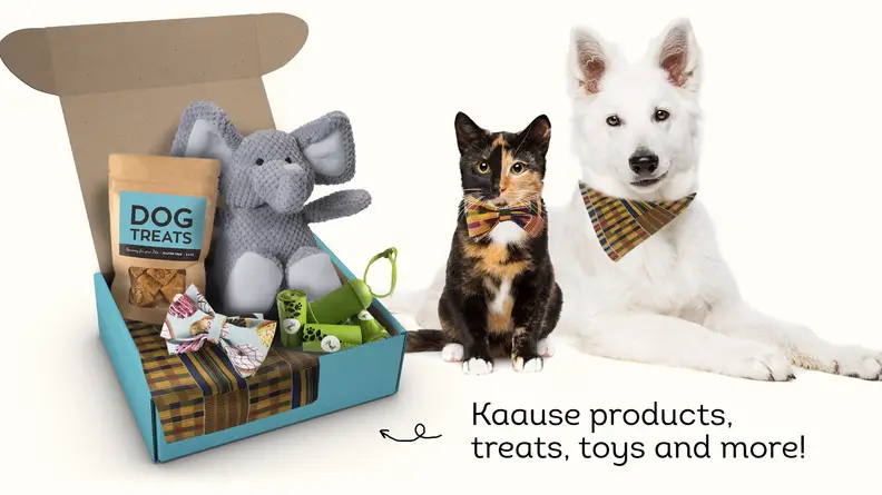 A cat and dog sitting next to a Kaause subscription box