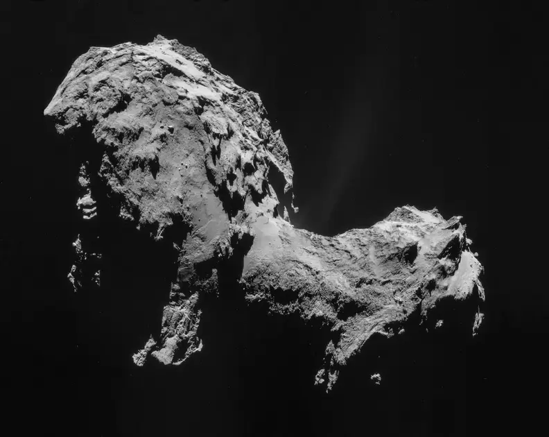 Rosetta Comet Portrait