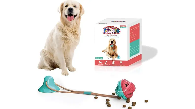 suction toy