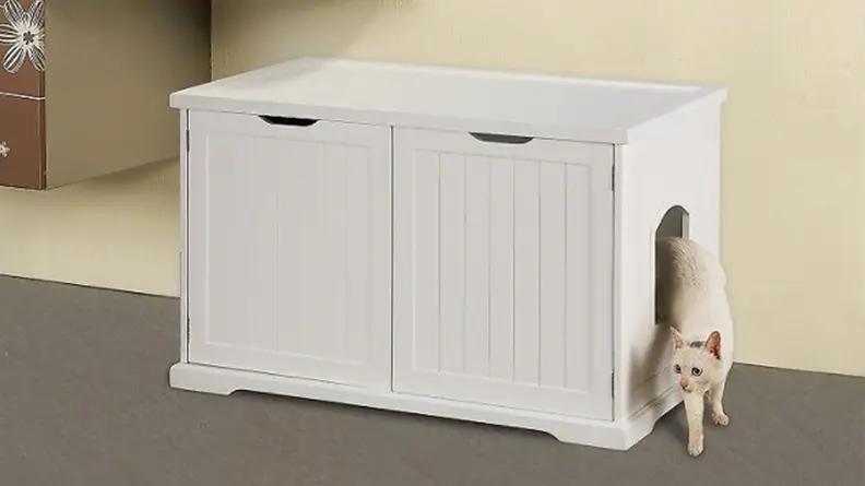 Cat emerging from door in white box