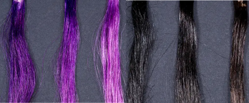 Experiment results for purple (left) and brown (right) dyed hair washed with Pantene shampoo. The leftmost hair swatch in each group wasn't washed at all, the middle swatch was washed once, and the rightmost swatch was washed five times.