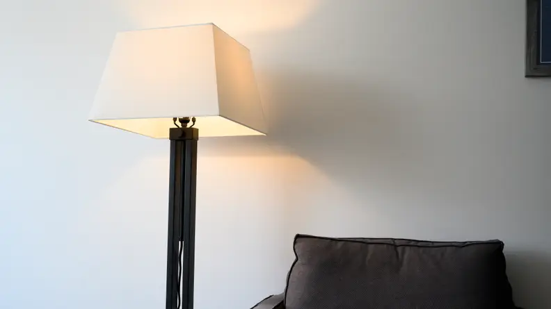 A Stone & Beam floor lamp