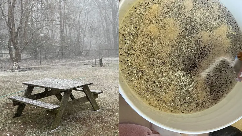 A composite of two images. The left half is a picture of the now-empty table where we initially laid out our gear, now covered in a light dusting of snow. The right half is a close-up of our fermentation bucket with the yeast being poured in. The yeast on top of the wort is bubbling.