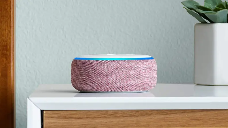 Plum Echo Dot 3 on counter