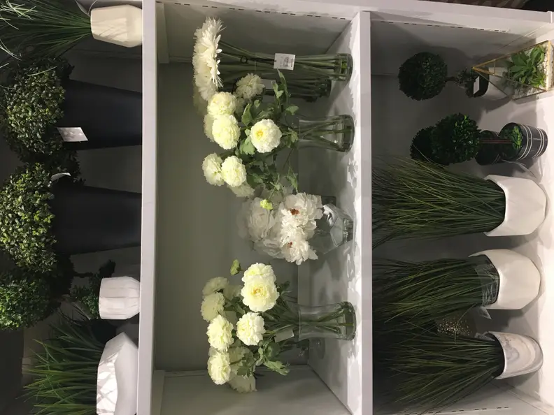 Greenery and plants at Homesense