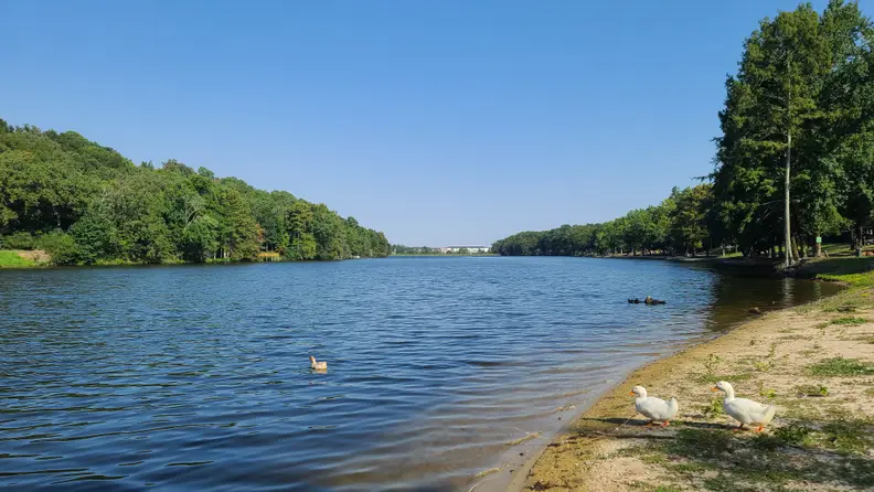 A lake with a Pokémon Go Plus + in front of it.