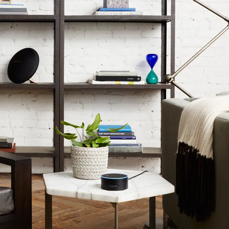Amazon Echo Dot