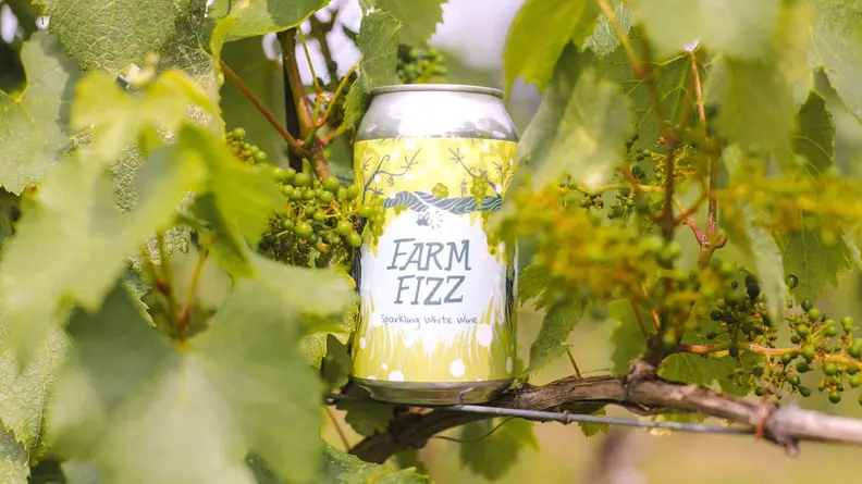 Can of Old Westminster sparkling wine on vine branch.