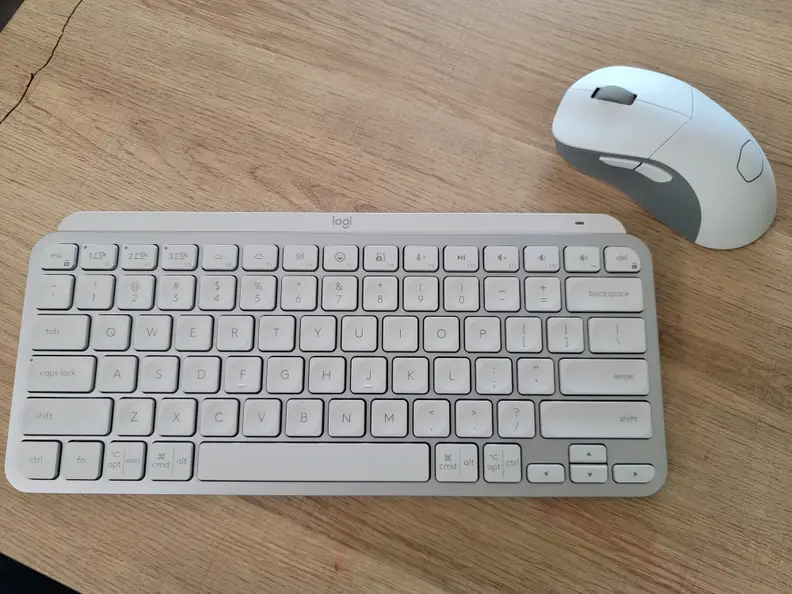 A computer keyboard next to a computer mouse.