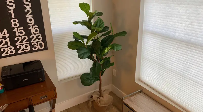 Fake fiddle leaf tree