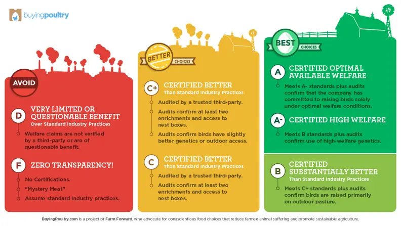 The grading system employed by BuyingPoultry.com