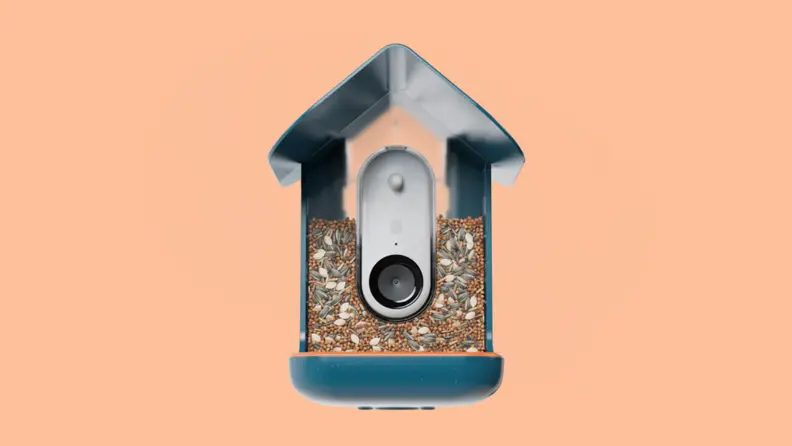 Smart bird feeder on a peach background