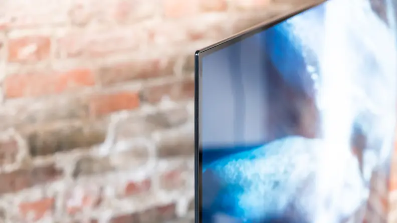 Vizio OLED55-H1 Panel