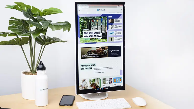 Computer sits on desk to the right of a potted plant and water bottle. The display is in portrait orientation
