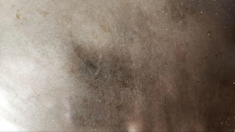 Close-up of the pan's surface.