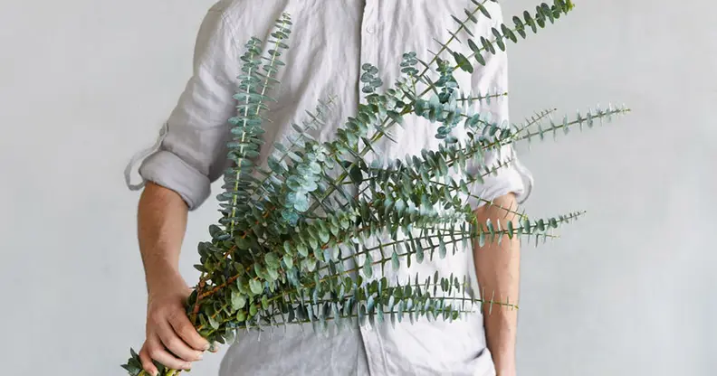 Eucalyptus Farms