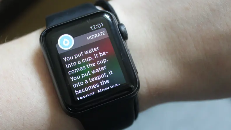 Hidrate Spark Apple Watch