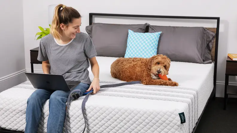 A person and a dog sitting on the Leesa Sapira hybrid mattress.