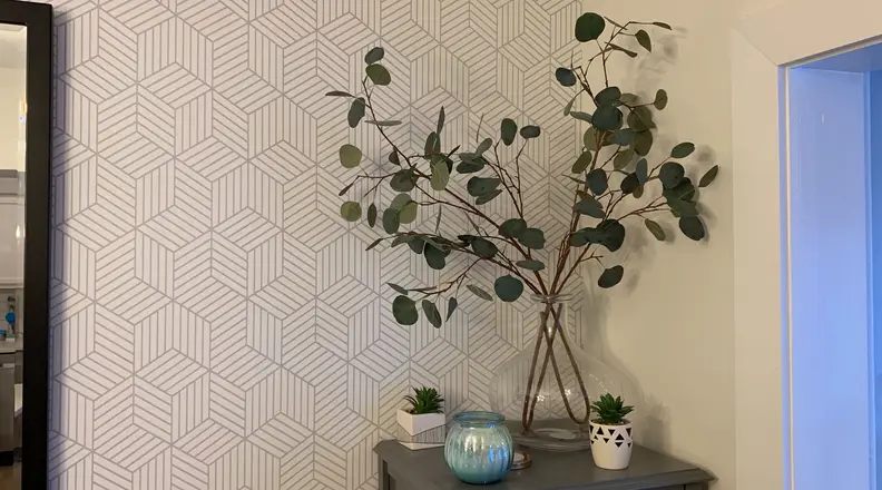 Eucalyptus stems