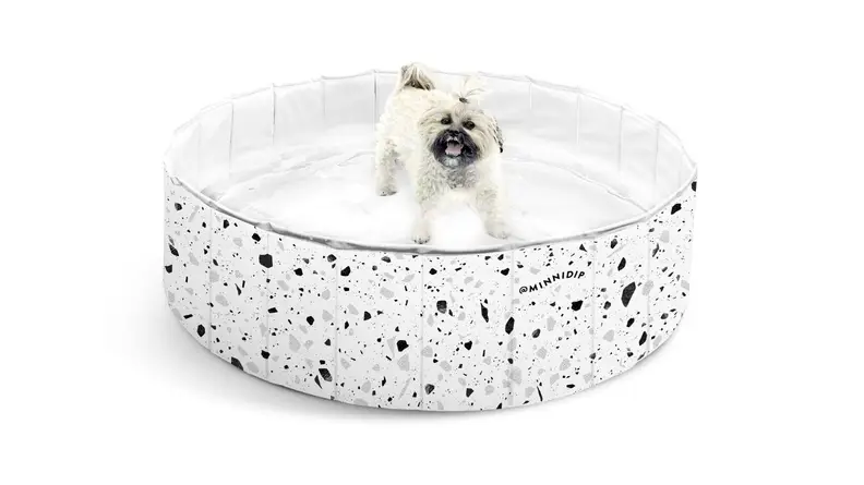 A white dog stands in an empty Minnidip swimming pool with a speckled terrazzo print