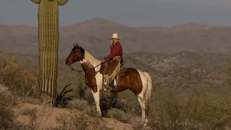Cowgirl riding a brown-and-white horse through a desert landscape beside a tall cactus at sunset.