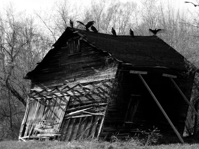 Some of the photos we managed with the SX700 HS are quite nice, such as this shot of vultures perched on a dilapidated shack.