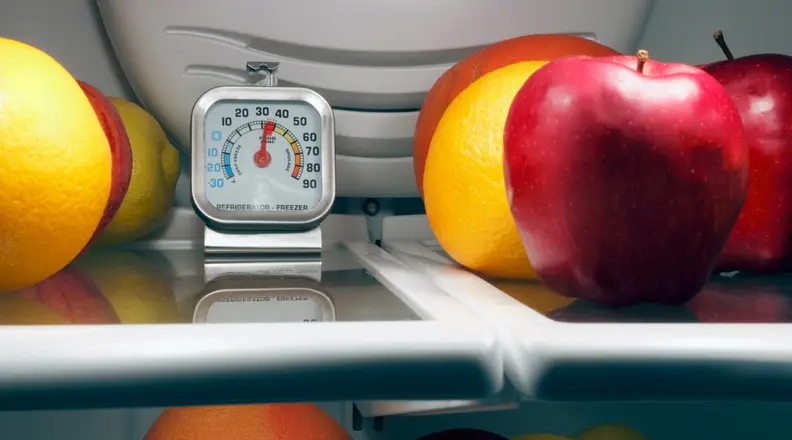 A refrigerator thermometer sits on a fridge shelf, surrounded by fresh fruit.