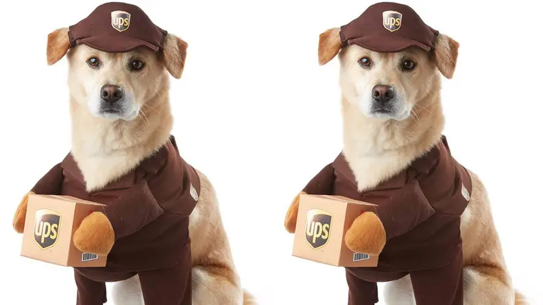 UPS pup