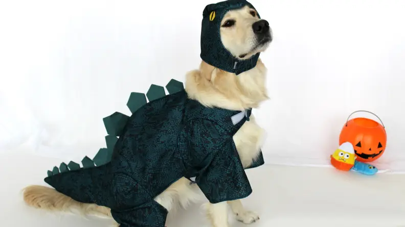 Dog dino