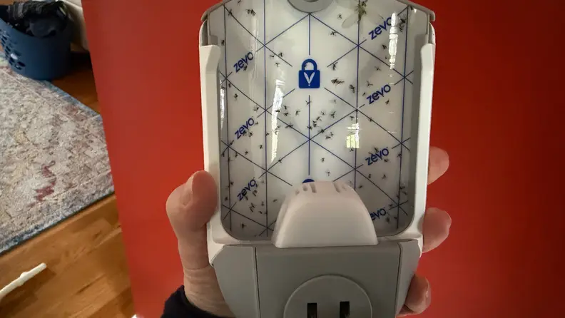 Sticky bug tape