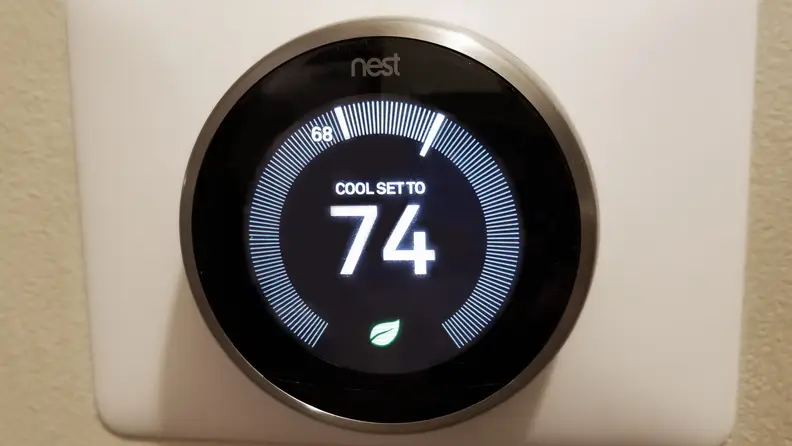 Nest displaying leaf mode