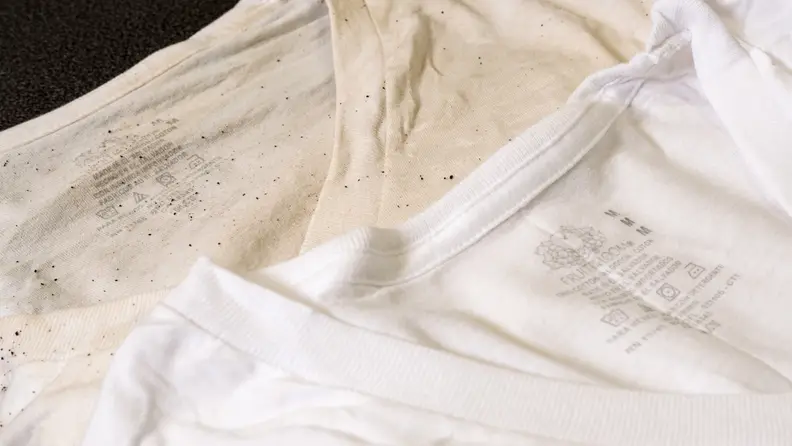 Each t-shirt was soaked in the sweat bath for four hours.