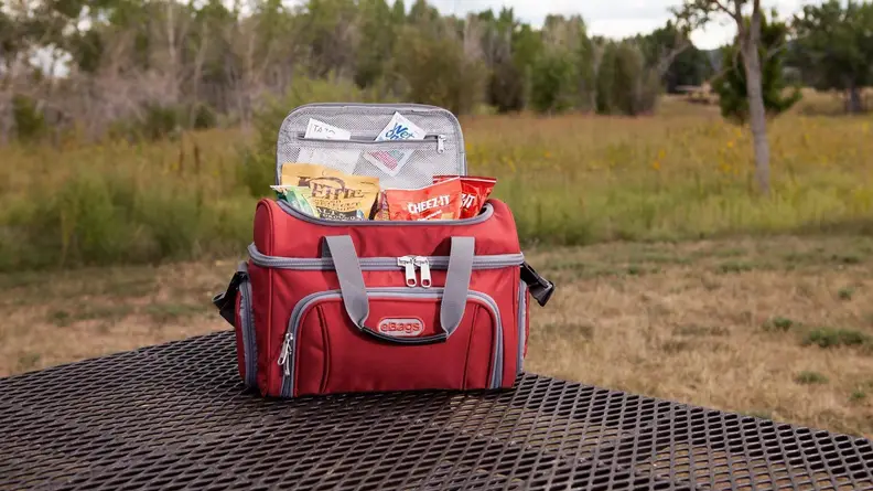 eBags Travel Cooler