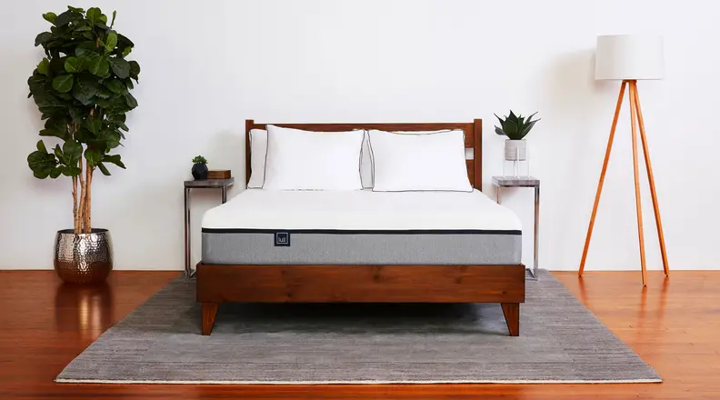 Lull mattress on a simple bed frame surrounded by a tree and a lamp