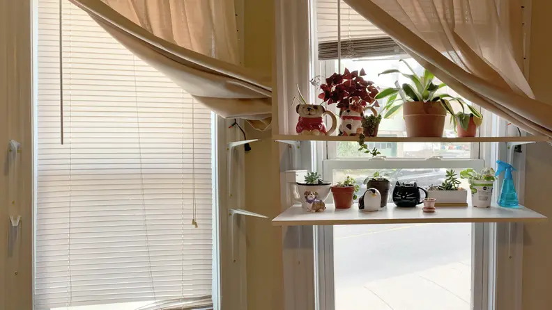 Left: Before installing the plant shelves on empty windows, Right: After the two parallel shelves were installed with several plants on them
