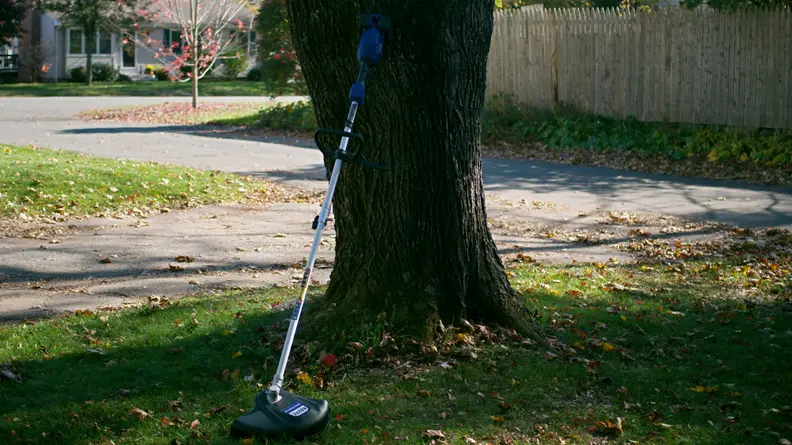 A string trimmer stands against a tree