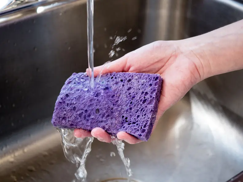 sponge in sink