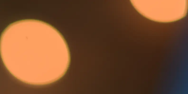 An example of bokeh in an image shot by the Nikon 85mm f/1.8G.