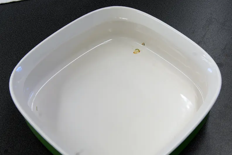 Whirlpool WDT920SADM lasagna stain