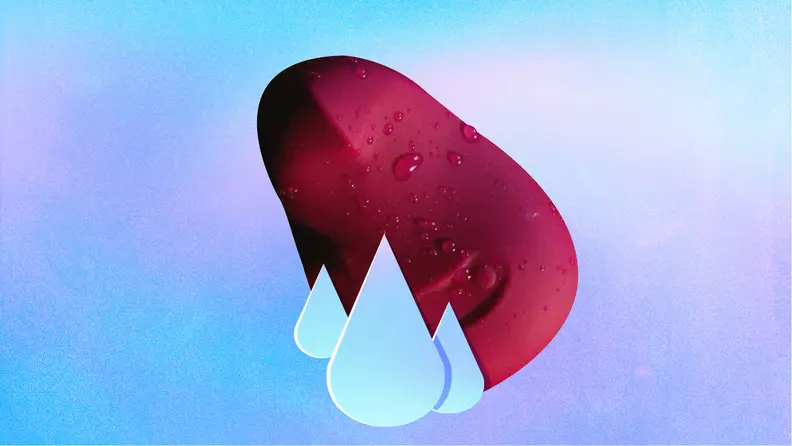 Dame Pom vibrator